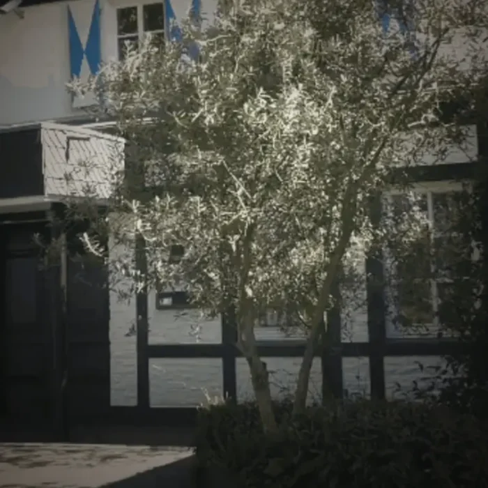 entrance-tree